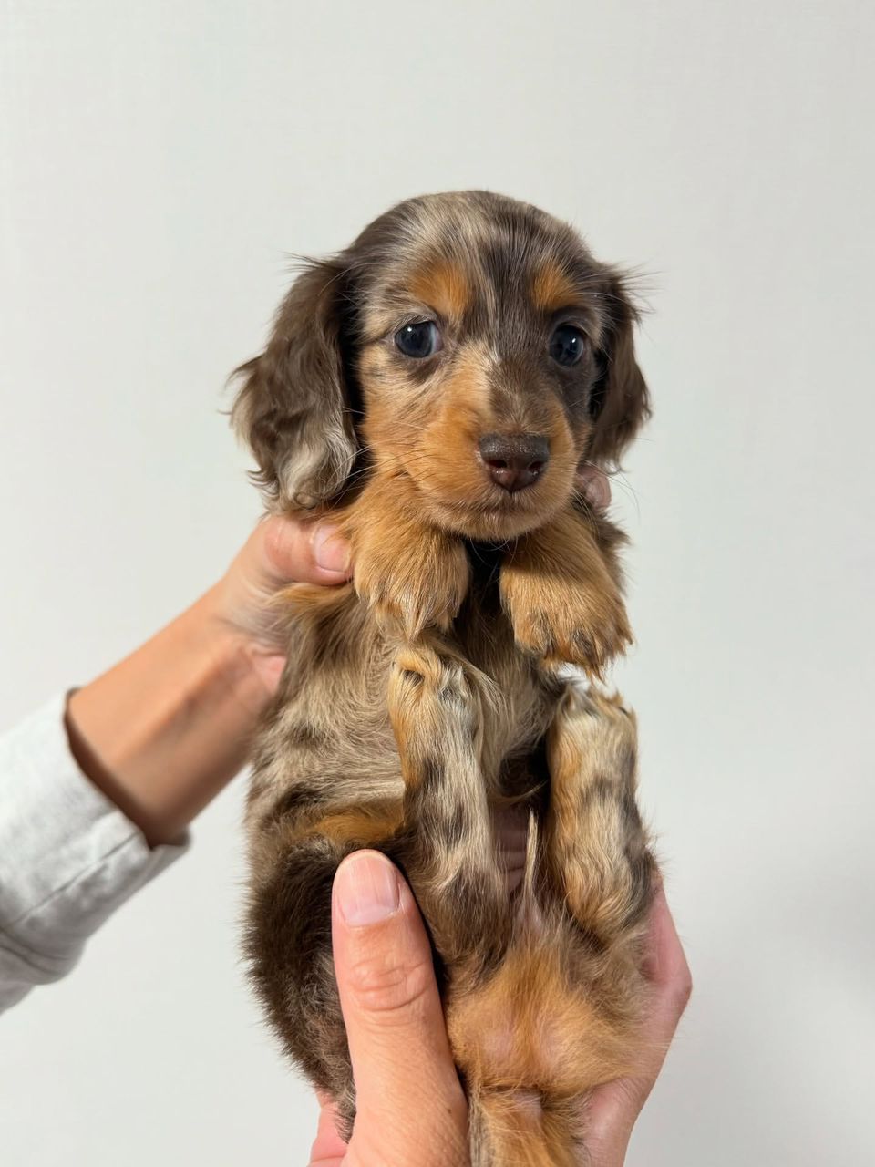 Rosie